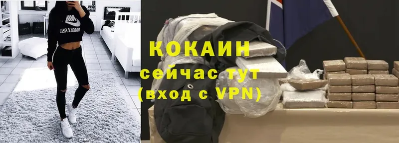 МЕГА как войти  Балтийск  Cocaine Эквадор 